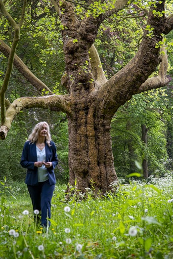 Wandelen in het bos houdt je vitaal